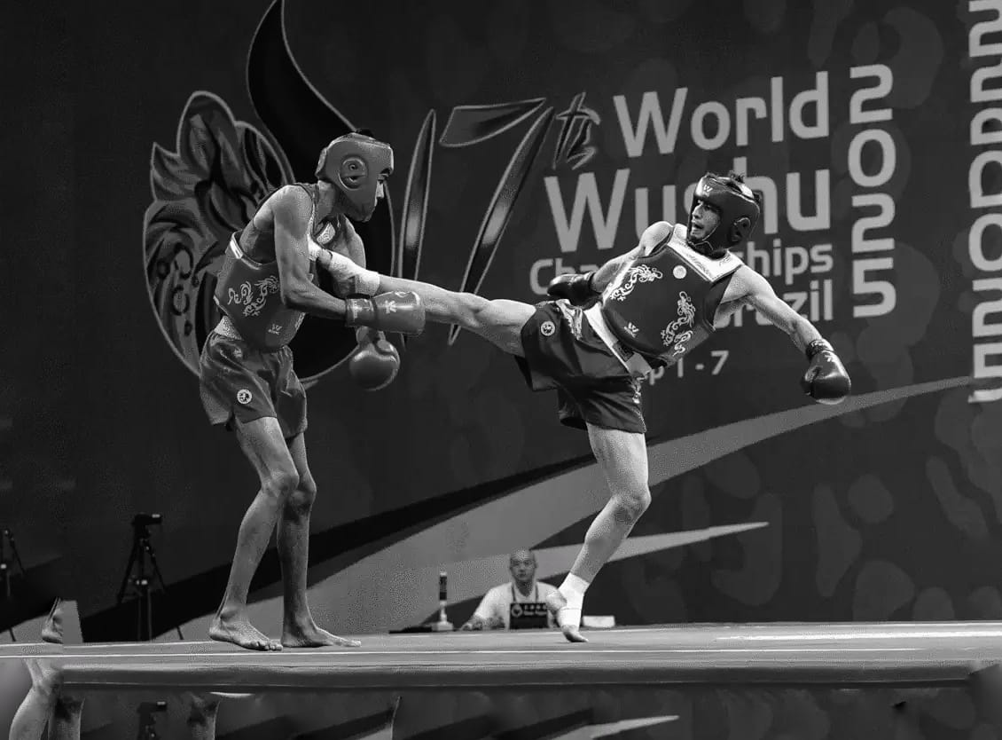 Wushu Sanda
